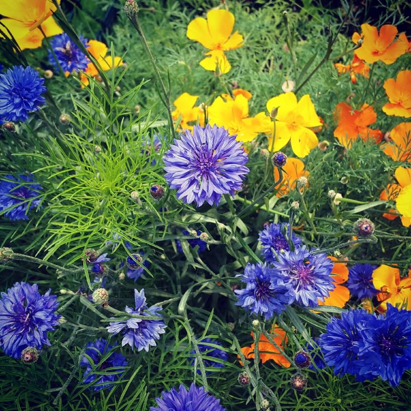 ��������� ������: ��� ������� ��������� ���������� �� ������������