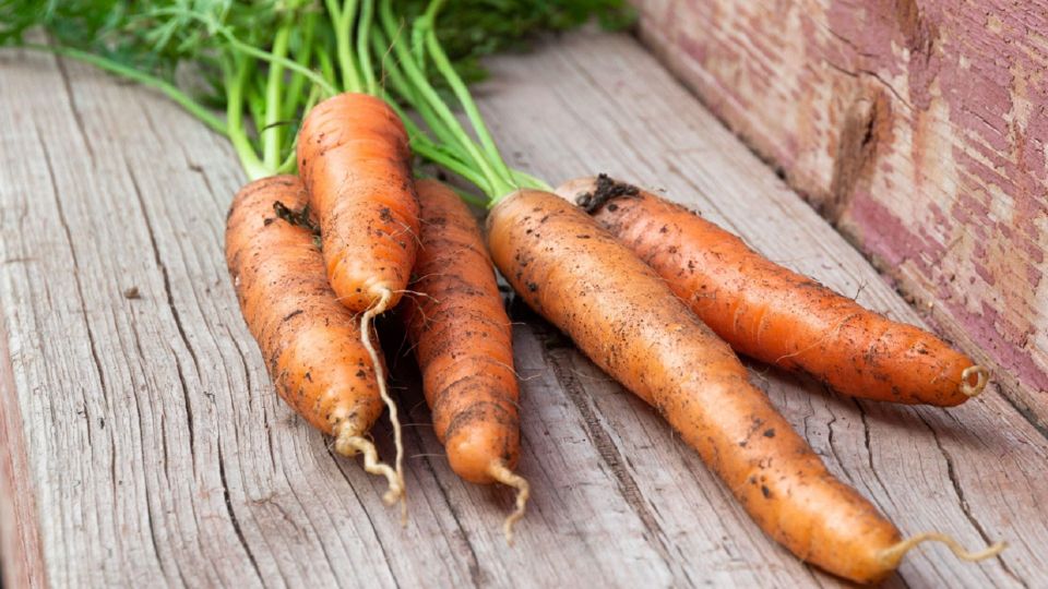 �������� ��� ������� � �������: ������ ������� ��������