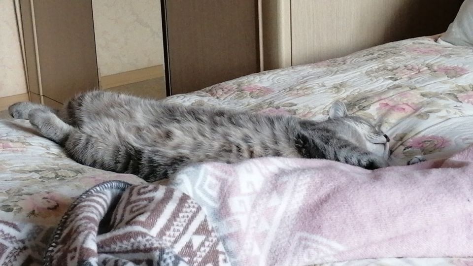 ���������, ����� � ����������: ��� ���� ���� ���������