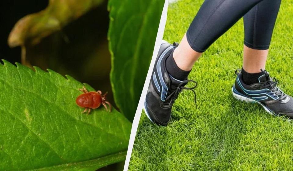 ��� ���������� �� ������: ������� ������ ��� ������������ �� �������