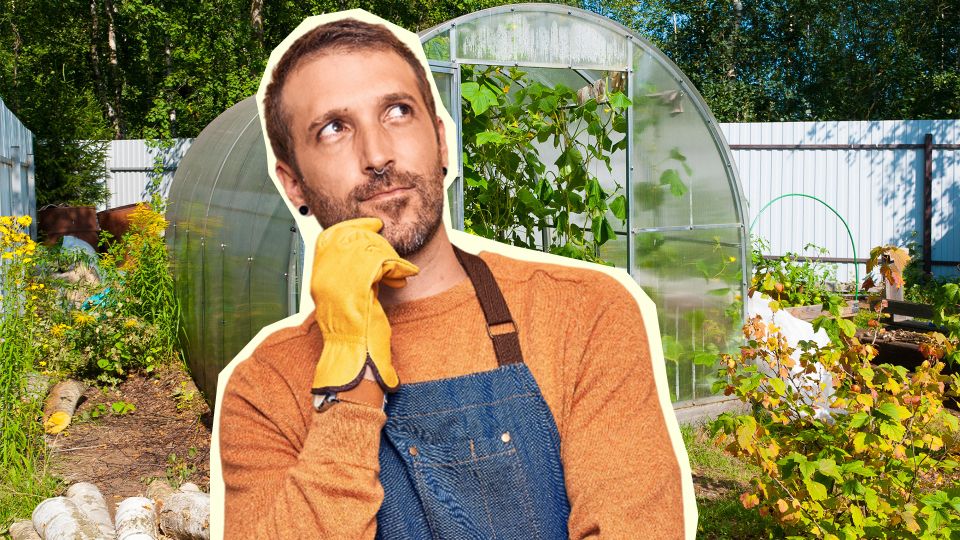 ��� �������� ������ ���� � ������� � �������� �������: ��������� ����