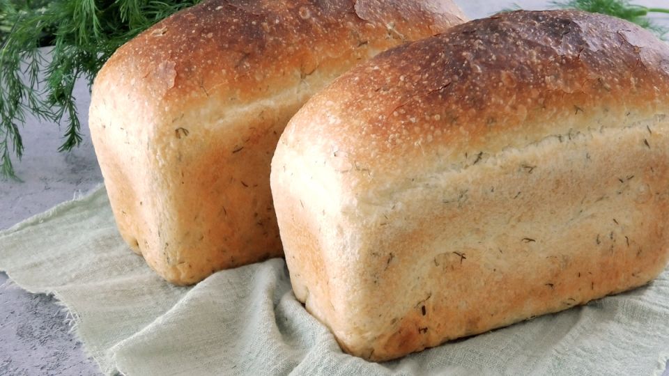 ������� ���������� �����: ��� �������� ������� � ���������