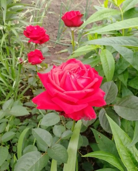 ���� �� '���������': ��� ��� ���������� � �������