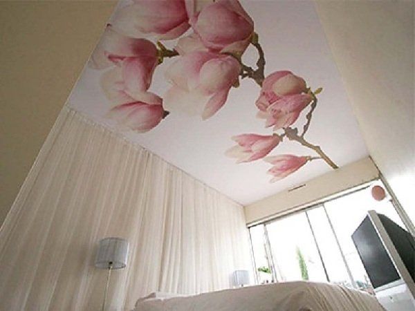 ������������� ��������� �������: ��� ������� ��� �������������� � ����������