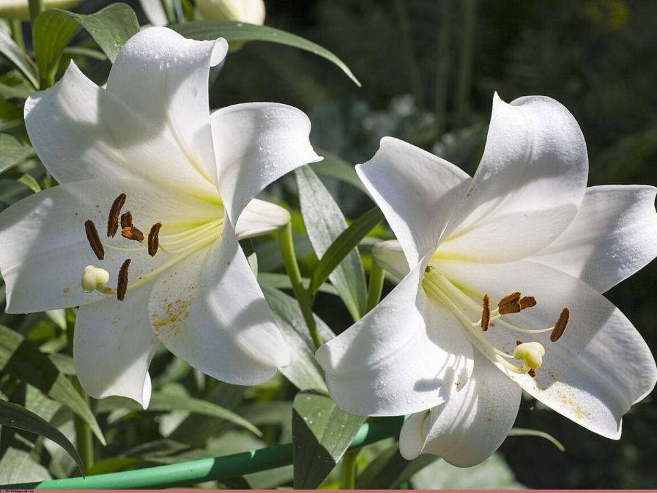 ����� � ����: ��� ��������� ������� � ���������� ���������� �����