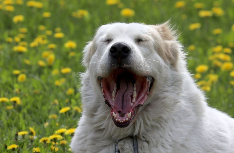 ����������� ���� �� ���������� �������� ��������