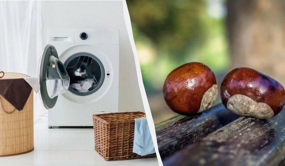 Необычный помощник в стирке: как каштаны становятся заменой порошку