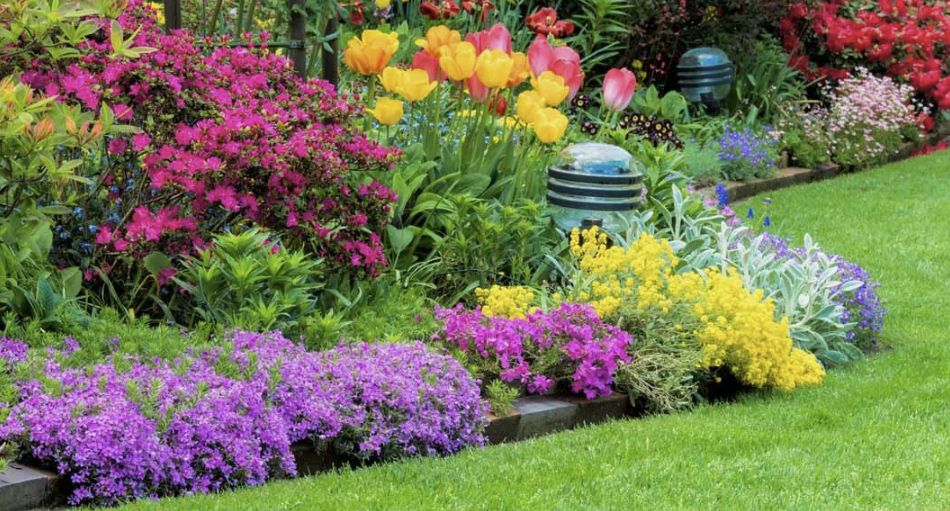 ������� ������� ������������ �������� �� ����: ������� ����� �� ������ �����