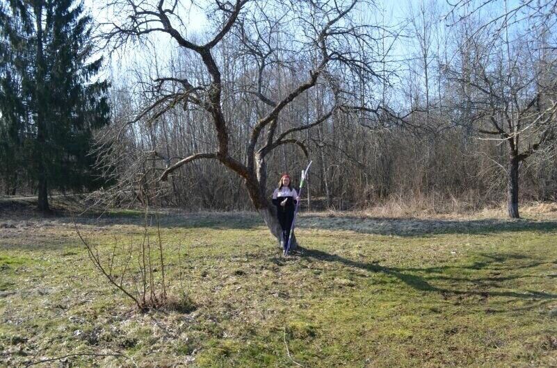 ������ ���������� ����� � ����: ��� ����� ������� �� ������� � � ����