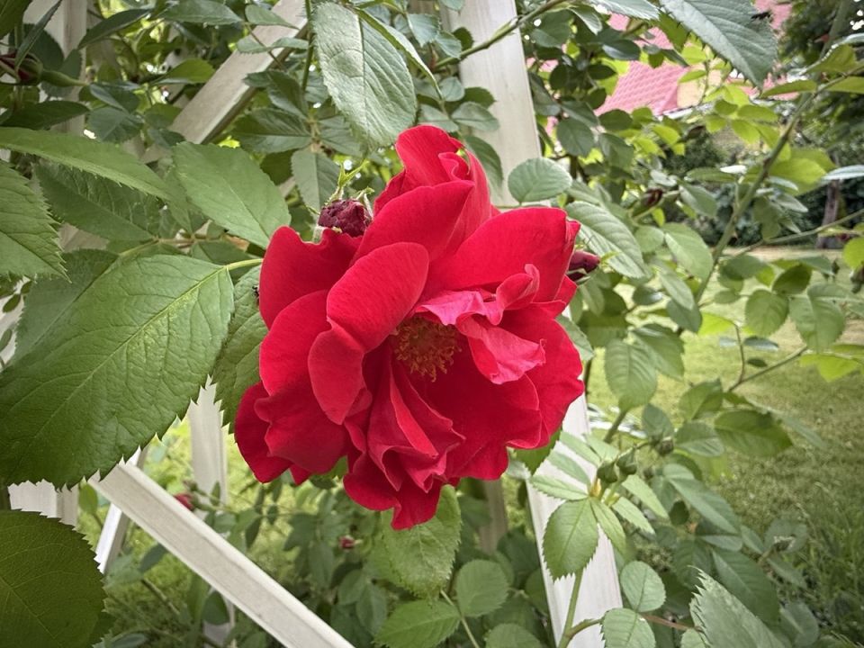 ��������� ���� ��������: ��������� ���������� ������������ � �����