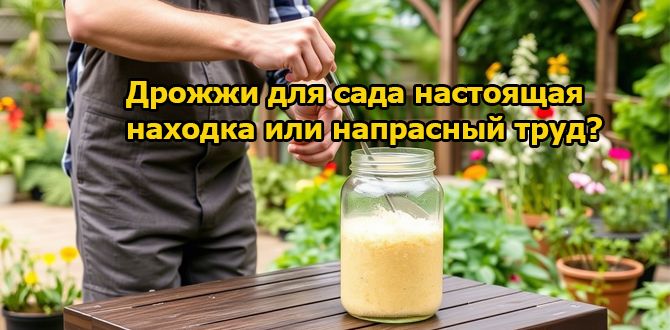 ������ � �����������: ������ ��� ���?