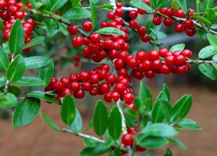 ��� ����� ��������� ������ �� ����� ������� � ��������� �������� ��������