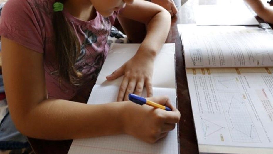 Роскомнадзор может заняться блокировкой готовых домашних заданий в интернете