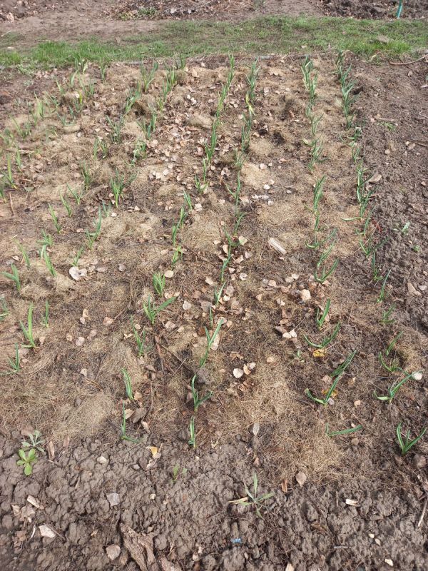 ��� ������ ���������� �������: ��������� � ������ �� �����