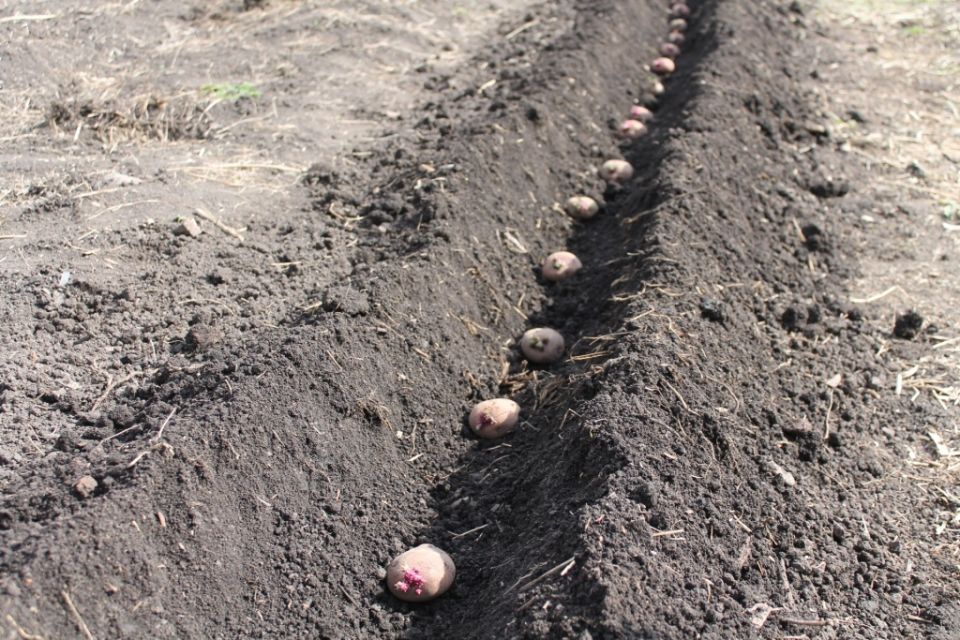 ������ ������ ������������ ������ ����� ����� �������� �������� ������