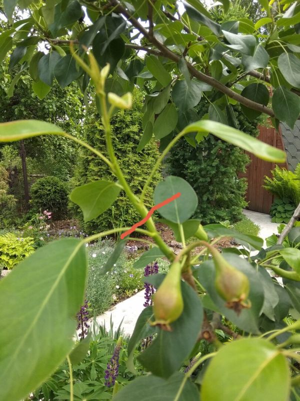 ����������: ������ ��������� ����� �������� ��������