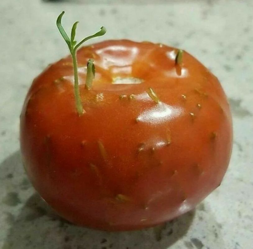 ������ ������ ������� �� �������: ���� �������� ������