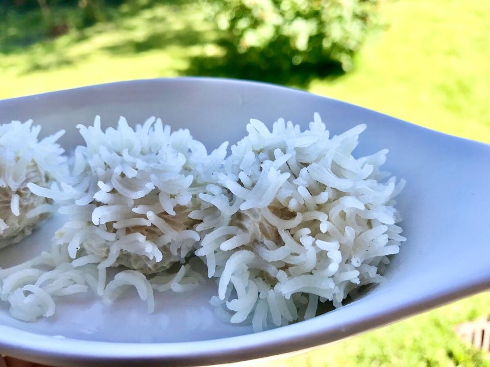 ��� ����������� ������� ����� �� ���� ��� ������