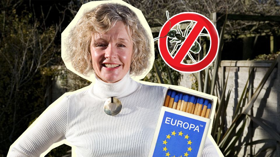 ���������� �� ������� ��������� �������: ������� � ����� ������ � �������