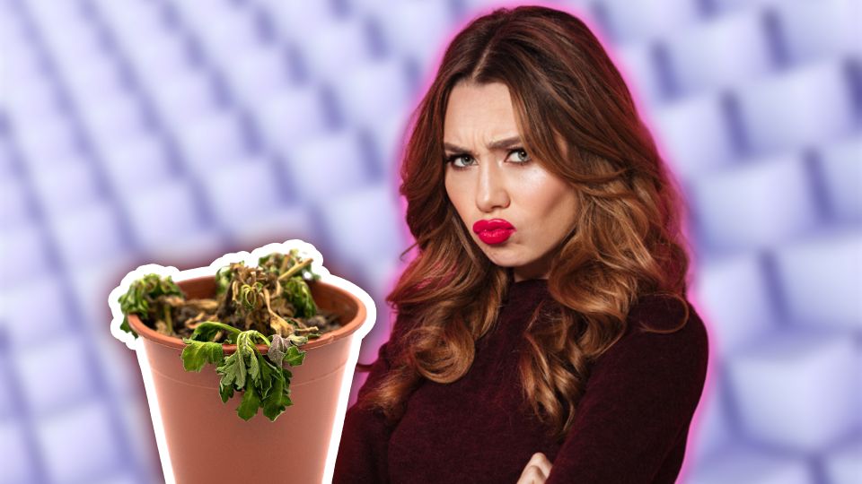 �� ��� ���� ������: ������ ����� �������� ������ � ������