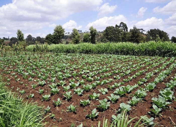 ��� ��������� �������� ������� ������ ������� ��� �������� ������