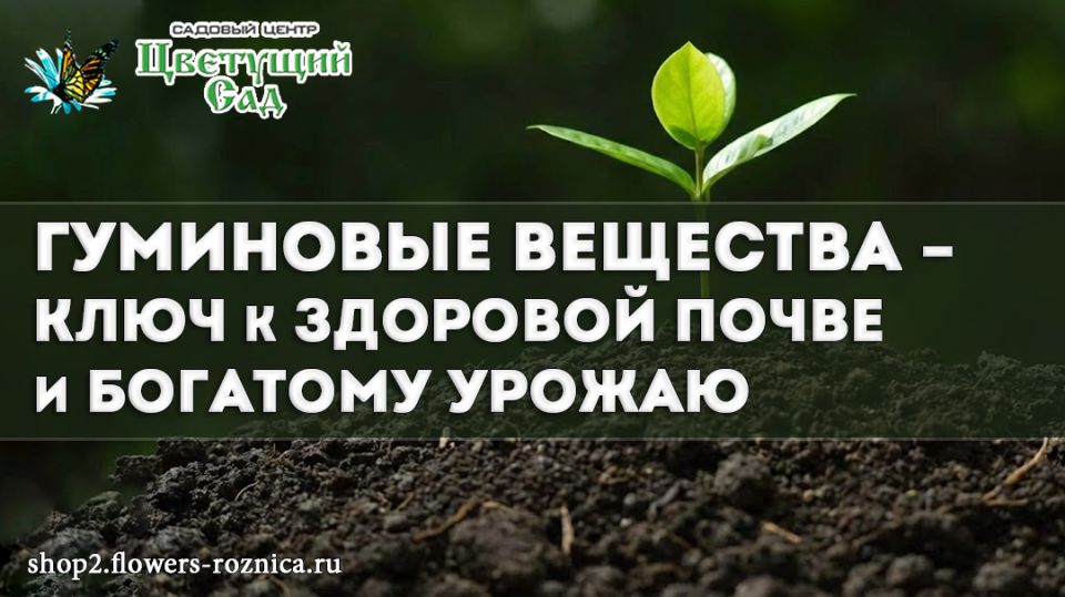 ��������� ��������: ������ �������� ����� � �������� ������