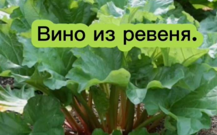 ��� ����������� �������� ���� �� ������: ��� ������� � ������