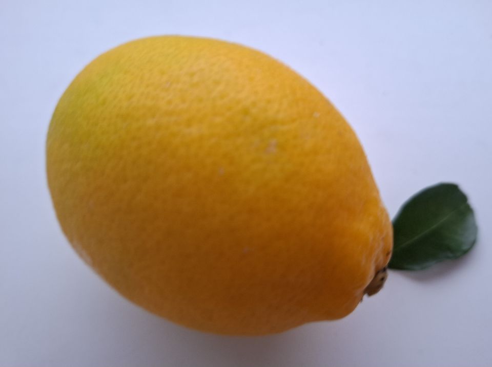 �����: ����������� ����� � ������� �������� � ���������� ����������