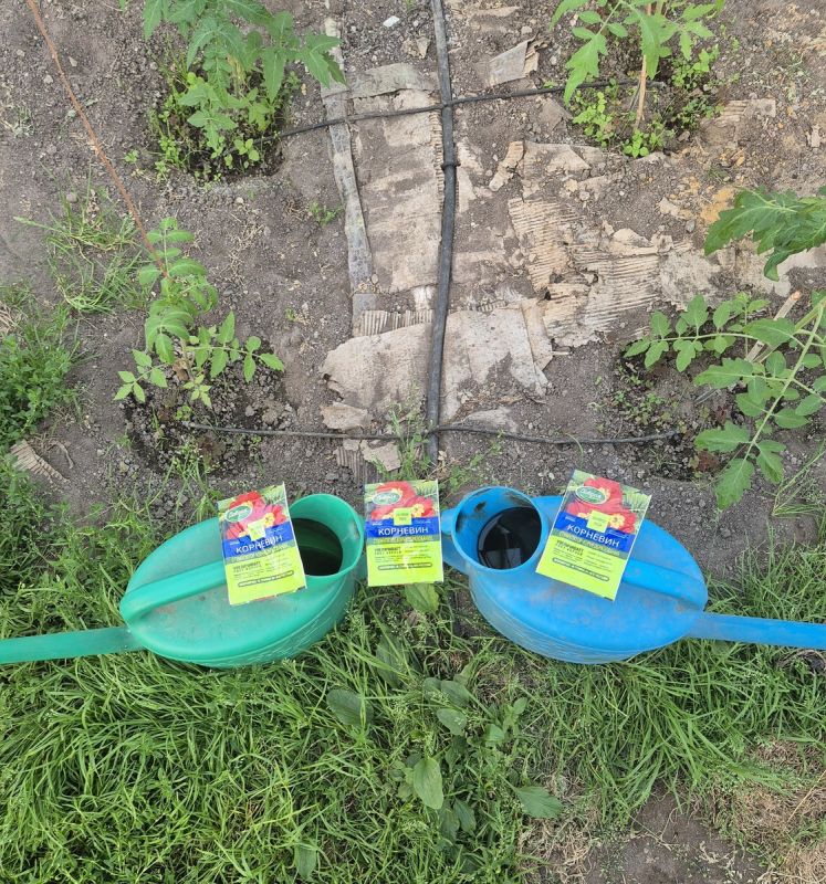 ������� �������� �������: ��� ������������� ��������� �� ������ �� ������