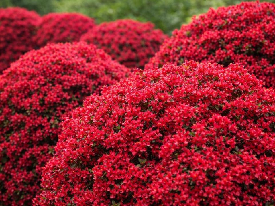 ����� �������: ������ �������� � ������� ������ ����