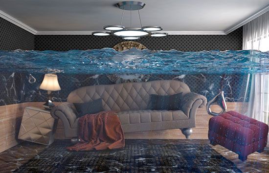 ��� �������� ����� �� ���������� �������� �� ���� ����������� ��������