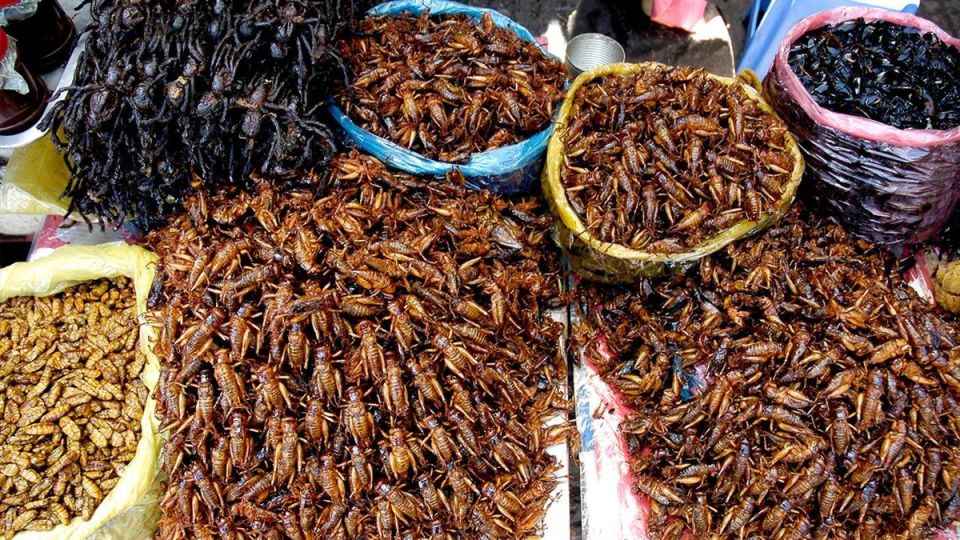 ��������� ��� �������� ���������: ������� ���