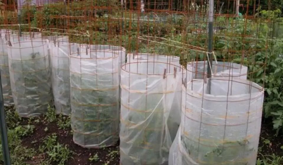 ��� ������� ���������� �������: ������ �������� ��� ������ �������