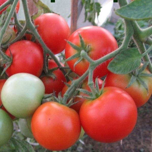 ����� ������: ��� ���������� �� ������ ������ � �������� ������