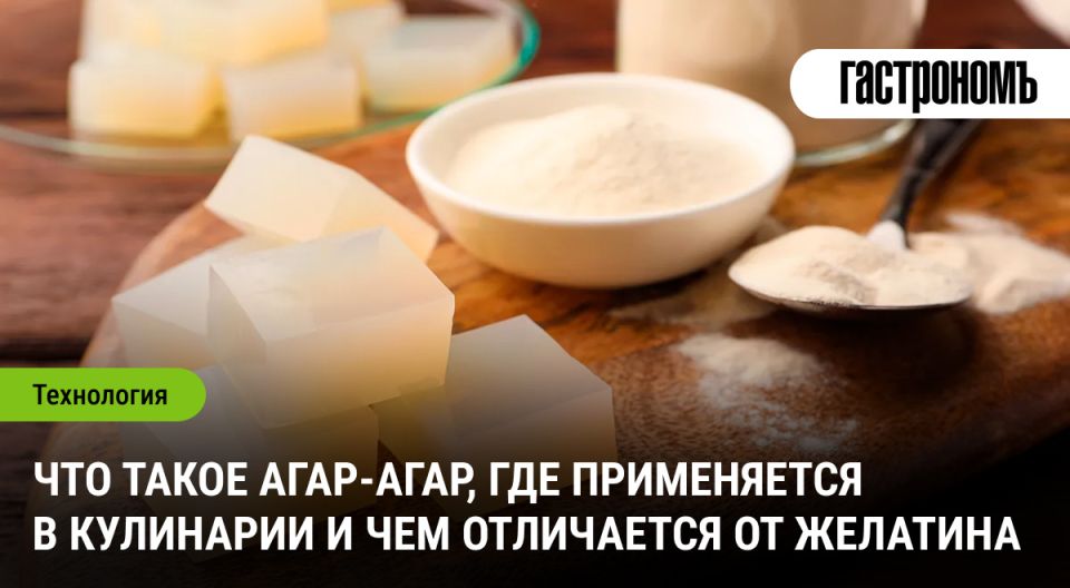 ����-����: ������ ���������� ���� � ��������