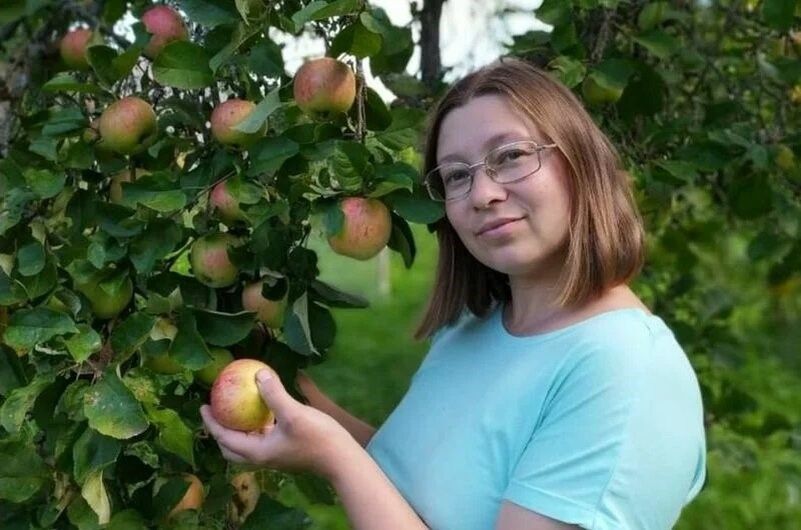 Секреты сладких яблок: семь медовых сортов, которые вырастут в любых климатических условиях