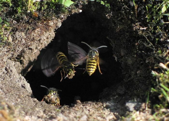 ��� ���������, ���� ��� ������� ��� ���?