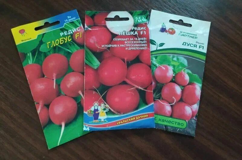 ����� �� ������ �������: ��� ������� ������ �����