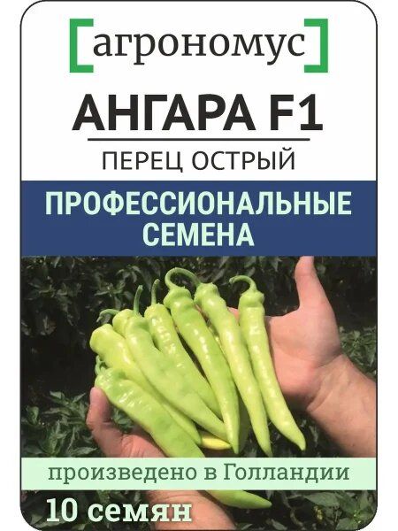 Перец Ангара: универсальный раннеспелый сорто для вашего огорода