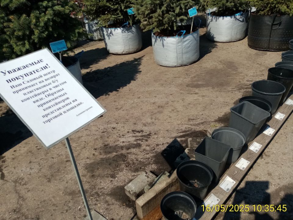 ���� �� ������� � ������� ������: ��� ���� ��������� ������� ����