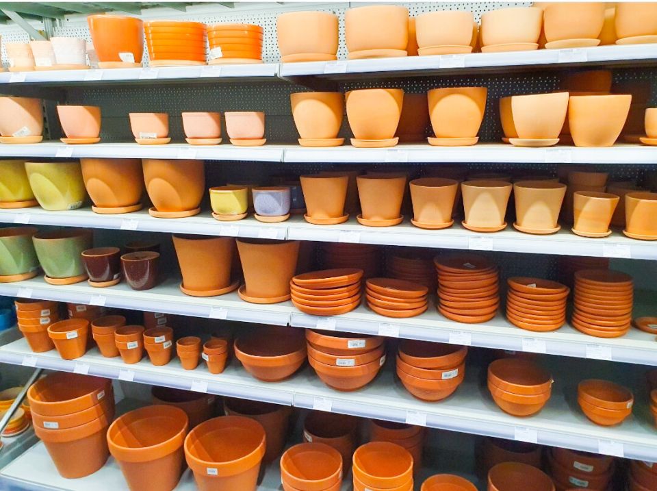 �������� �������� � �������: �� �������� �� ����������