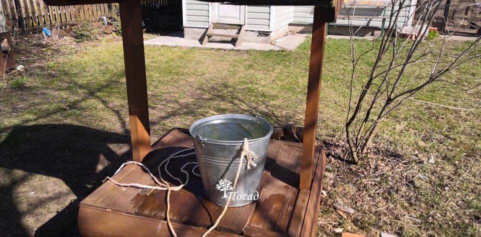 Что не использовать для первой обработки сада: заблуждения и рекомендации