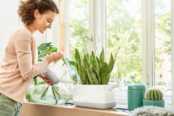 ��� ������ �������� �� ��������������: ������� ������