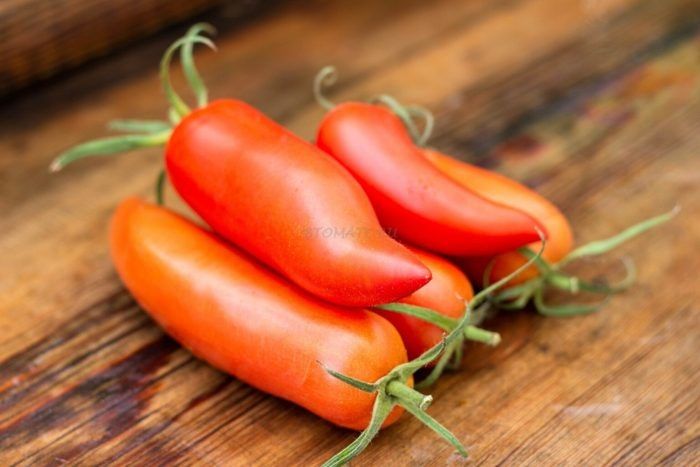 ����� ������ ������: ��� ����� ����� � ��������������� ����� � �����