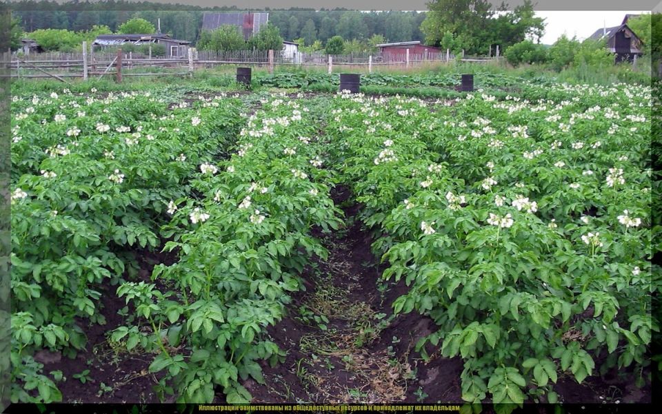 ������� ��������� ������ ��������� � ����: ��������� � ������ ��������