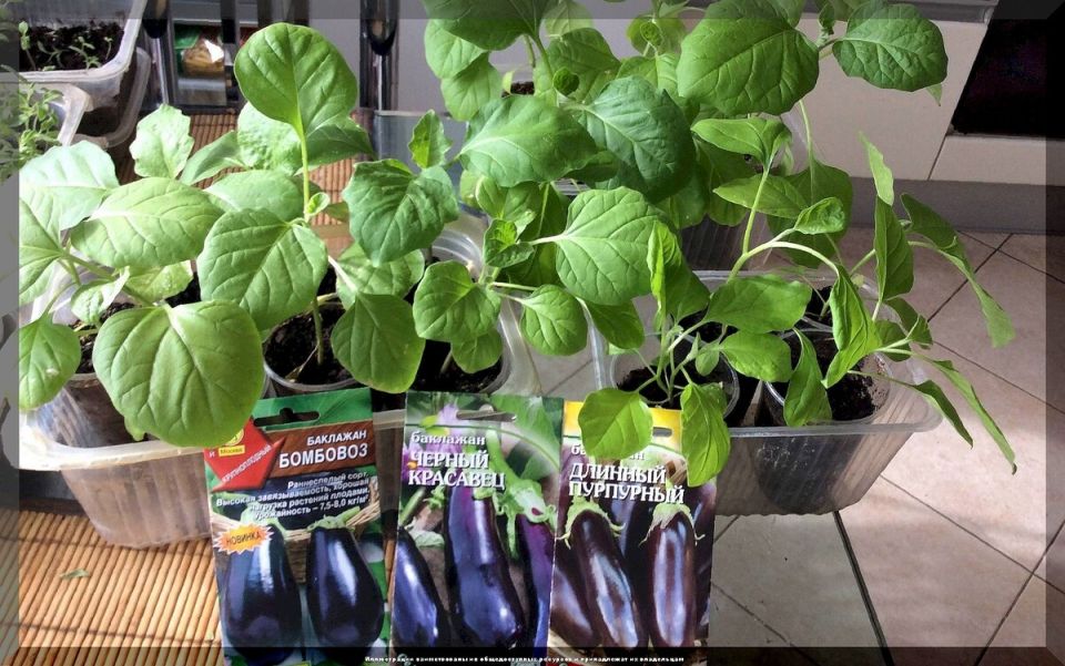 �������� �������: ������ �� ���������� ������� ��������